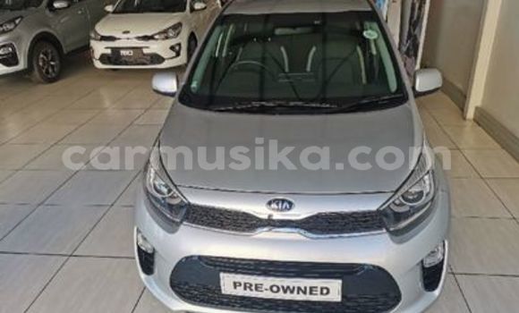 Tenga Tsaru Kia Picanto Sirivha Mota in Beitbridge in Matabeleland South Tenga Tsaru Kia Picanto Sirivha Mota in Beitbridge in Matabeleland South