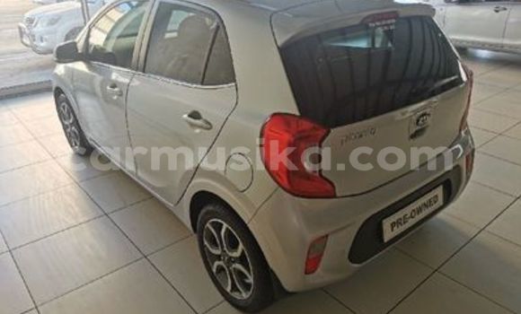 Tenga Tsaru Kia Picanto Sirivha Mota in Beitbridge in Matabeleland South Tenga Tsaru Kia Picanto Sirivha Mota in Beitbridge in Matabeleland South