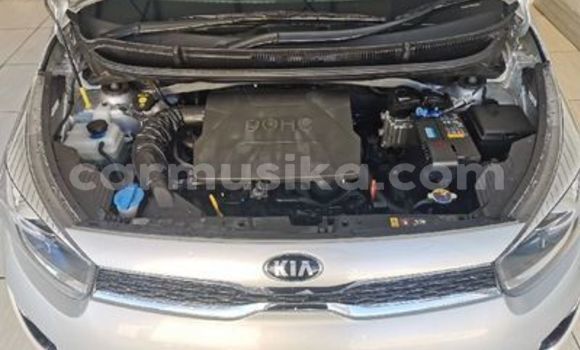 Tenga Tsaru Kia Picanto Sirivha Mota in Beitbridge in Matabeleland South Tenga Tsaru Kia Picanto Sirivha Mota in Beitbridge in Matabeleland South