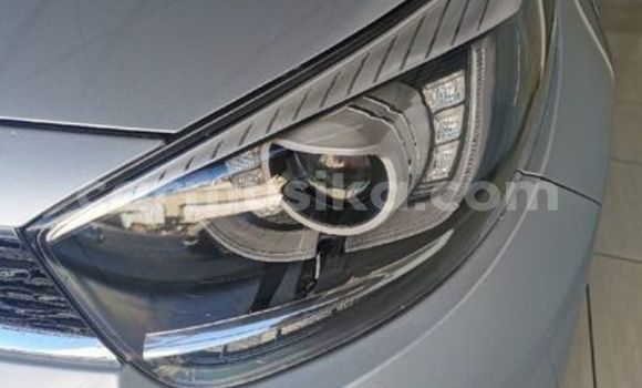 Tenga Tsaru Kia Picanto Sirivha Mota in Beitbridge in Matabeleland South Tenga Tsaru Kia Picanto Sirivha Mota in Beitbridge in Matabeleland South