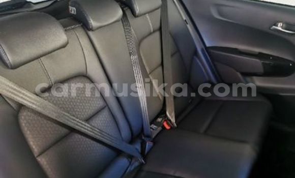 Tenga Tsaru Kia Picanto Sirivha Mota in Beitbridge in Matabeleland South Tenga Tsaru Kia Picanto Sirivha Mota in Beitbridge in Matabeleland South