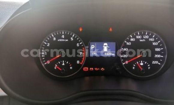 Tenga Tsaru Kia Picanto Sirivha Mota in Beitbridge in Matabeleland South Tenga Tsaru Kia Picanto Sirivha Mota in Beitbridge in Matabeleland South