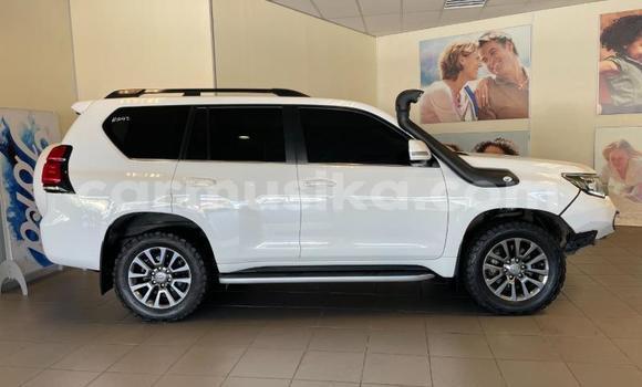 Acheter Occasion Voiture Toyota Land Cruiser Prado Blanc à Beitbridge, Matabeleland South