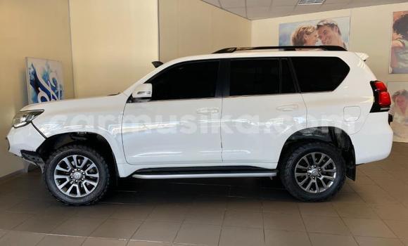 Acheter Occasion Voiture Toyota Land Cruiser Prado Blanc à Beitbridge, Matabeleland South Acheter Occasion Voiture Toyota Land Cruiser Prado Blanc à Beitbridge, Matabeleland South