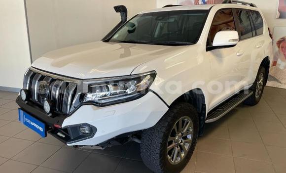 Acheter Occasion Voiture Toyota Land Cruiser Prado Blanc à Beitbridge, Matabeleland South Acheter Occasion Voiture Toyota Land Cruiser Prado Blanc à Beitbridge, Matabeleland South