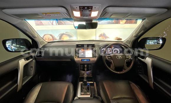 Acheter Occasion Voiture Toyota Land Cruiser Prado Blanc à Beitbridge, Matabeleland South Acheter Occasion Voiture Toyota Land Cruiser Prado Blanc à Beitbridge, Matabeleland South
