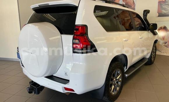 Acheter Occasion Voiture Toyota Land Cruiser Prado Blanc à Beitbridge, Matabeleland South Acheter Occasion Voiture Toyota Land Cruiser Prado Blanc à Beitbridge, Matabeleland South