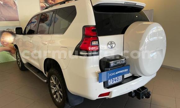 Acheter Occasion Voiture Toyota Land Cruiser Prado Blanc à Beitbridge, Matabeleland South Acheter Occasion Voiture Toyota Land Cruiser Prado Blanc à Beitbridge, Matabeleland South