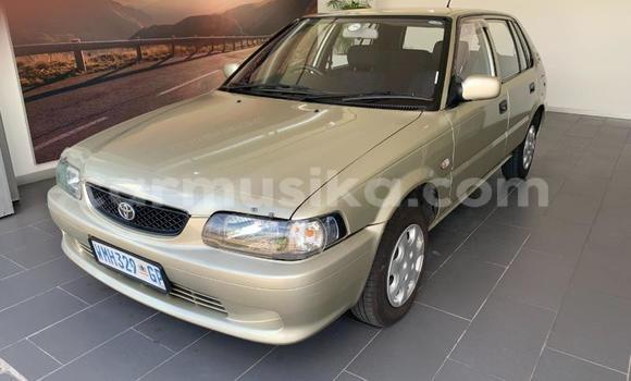 Acheter Occasion Voiture Toyota T100 Gris à Beitbridge, Matabeleland South Acheter Occasion Voiture Toyota T100 Gris à Beitbridge, Matabeleland South