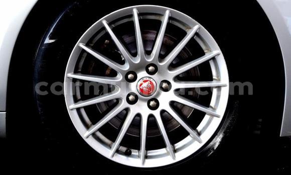 Acheter Occasion Voiture Jaguar XF Autre à Beitbridge, Matabeleland South Acheter Occasion Voiture Jaguar XF Autre à Beitbridge, Matabeleland South