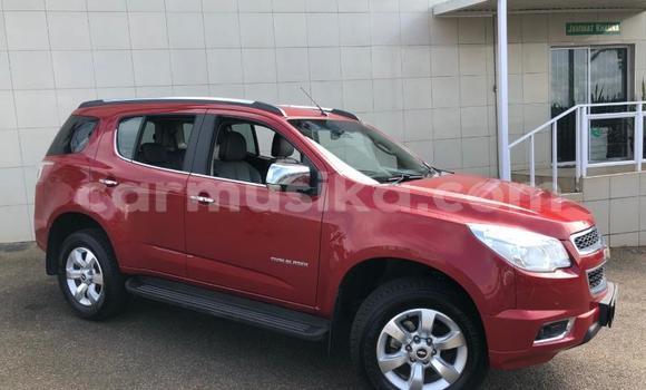 Nunua Ilio tumika Chevrolet TrailBlazer Nyingine Gari ndani ya Beitbridge nchini Matabeleland Kusini
