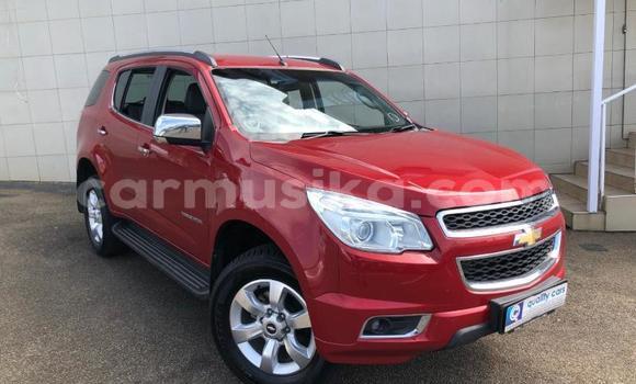 Acheter Occasion Voiture Chevrolet TrailBlazer Autre à Beitbridge, Matabeleland South Acheter Occasion Voiture Chevrolet TrailBlazer Autre à Beitbridge, Matabeleland South