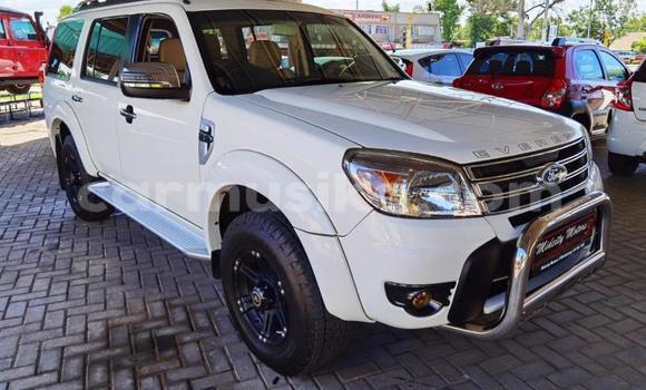 Tenga Tsaru Ford Everest Zvimwe Mota in Beitbridge in Matabeleland South