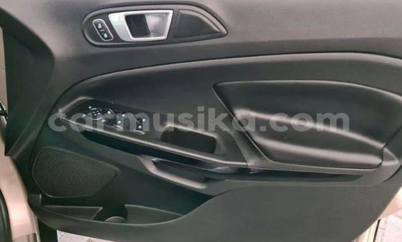 Tenga Tsaru Ford EcoSport Zvimwe Mota in Beitbridge in Matabeleland South Tenga Tsaru Ford EcoSport Zvimwe Mota in Beitbridge in Matabeleland South