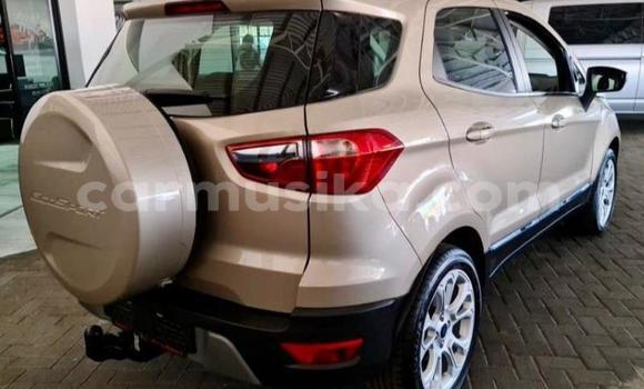 Tenga Tsaru Ford EcoSport Zvimwe Mota in Beitbridge in Matabeleland South Tenga Tsaru Ford EcoSport Zvimwe Mota in Beitbridge in Matabeleland South