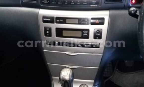 Acheter Occasion Voiture Toyota Runx Autre à Beitbridge, Matabeleland South Acheter Occasion Voiture Toyota Runx Autre à Beitbridge, Matabeleland South