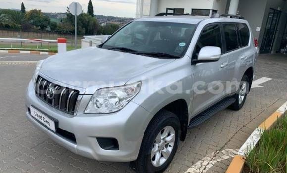 Buy Used Toyota Prado Silver Car in Beitbridge in Matabeleland South