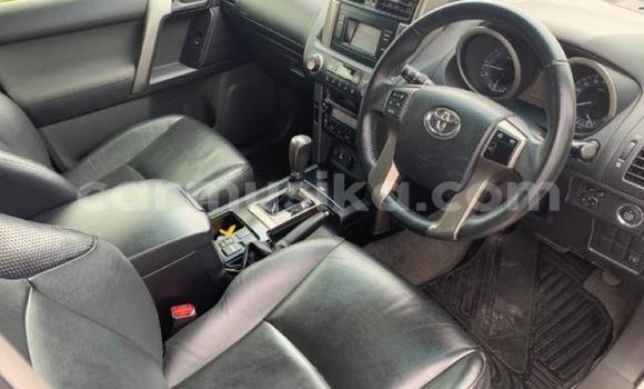 Buy Used Toyota Prado Silver Car in Beitbridge in Matabeleland South Buy Used Toyota Prado Silver Car in Beitbridge in Matabeleland South