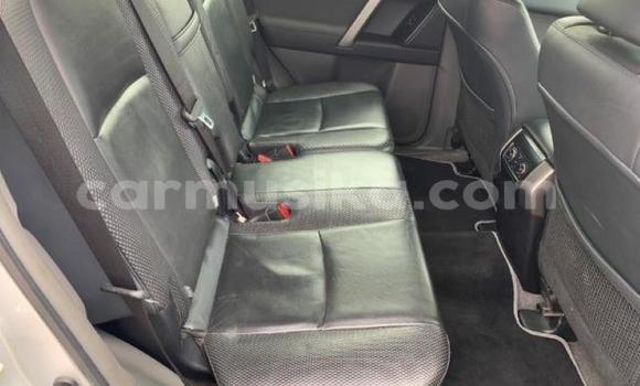 Buy Used Toyota Prado Silver Car in Beitbridge in Matabeleland South Buy Used Toyota Prado Silver Car in Beitbridge in Matabeleland South