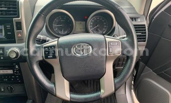 Buy Used Toyota Prado Silver Car in Beitbridge in Matabeleland South Buy Used Toyota Prado Silver Car in Beitbridge in Matabeleland South
