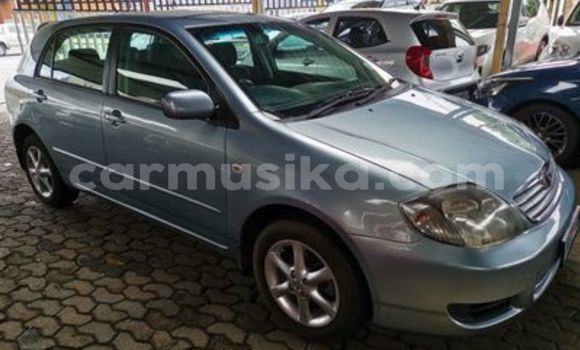 Nunua Ilio tumika Toyota Runx Fedha Gari ndani ya Beitbridge nchini Matabeleland Kusini