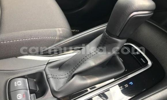 Buy Used Toyota Corolla Silver Car in Beitbridge in Matabeleland South Buy Used Toyota Corolla Silver Car in Beitbridge in Matabeleland South