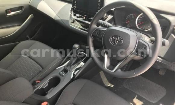 Buy Used Toyota Corolla Silver Car in Beitbridge in Matabeleland South Buy Used Toyota Corolla Silver Car in Beitbridge in Matabeleland South
