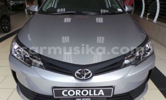 Nunua Ilio tumika Toyota Corolla Fedha Gari ndani ya Beitbridge nchini Matabeleland Kusini