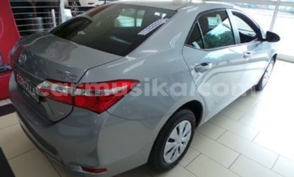 Nunua Ilio tumika Toyota Corolla Fedha Gari ndani ya Beitbridge nchini Matabeleland Kusini Nunua Ilio tumika Toyota Corolla Fedha Gari ndani ya Beitbridge nchini Matabeleland Kusini