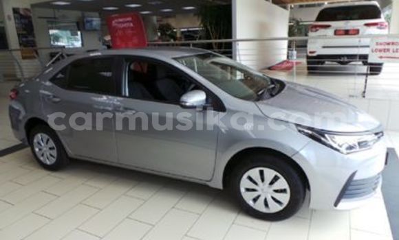 Nunua Ilio tumika Toyota Corolla Fedha Gari ndani ya Beitbridge nchini Matabeleland Kusini Nunua Ilio tumika Toyota Corolla Fedha Gari ndani ya Beitbridge nchini Matabeleland Kusini