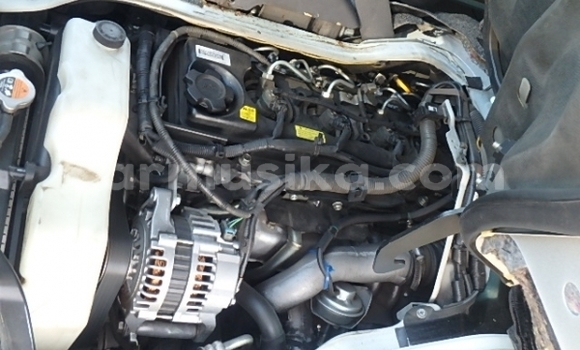 Tenga Tsaru Nissan Pickup Chena Mota in Beitbridge in Matabeleland South Tenga Tsaru Nissan Pickup Chena Mota in Beitbridge in Matabeleland South