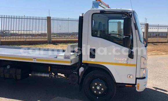 Buy Used Isuzu Elf White Truck in Beitbridge in Matabeleland South