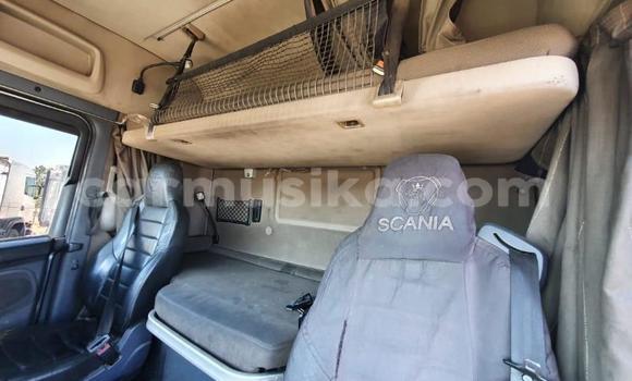 Buy Used Scania Irizar White Truck in Beitbridge in Matabeleland South Buy Used Scania Irizar White Truck in Beitbridge in Matabeleland South