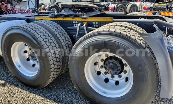 Buy Used Scania Irizar White Truck in Beitbridge in Matabeleland South Buy Used Scania Irizar White Truck in Beitbridge in Matabeleland South