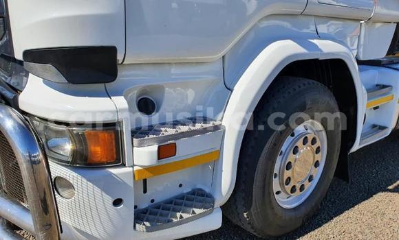 Buy Used Scania Irizar White Truck in Beitbridge in Matabeleland South Buy Used Scania Irizar White Truck in Beitbridge in Matabeleland South