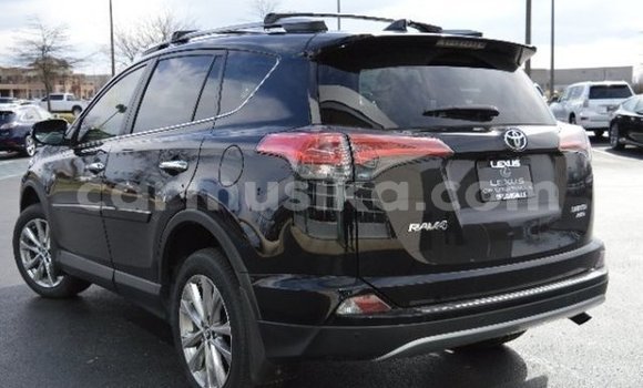 Buy Used Toyota RAV4 Black Car in Alexandra Park in Harare Buy Used Toyota RAV4 Black Car in Alexandra Park in Harare