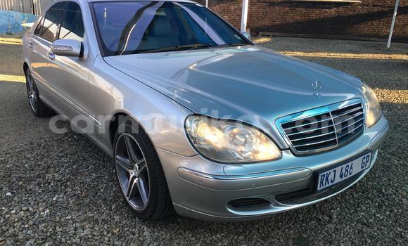Tenga Tsaru Mercedes-Benz E-Classe Sirivha Mota in Beitbridge in Matabeleland South