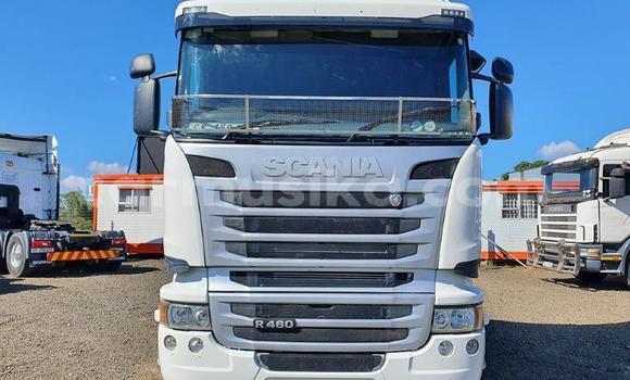 Acheter Occasion Utilitaire Scania R420 Blanc à Beitbridge, Matabeleland South Acheter Occasion Utilitaire Scania R420 Blanc à Beitbridge, Matabeleland South