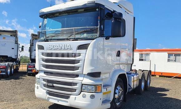 Acheter Occasion Utilitaire Scania R420 Blanc à Beitbridge, Matabeleland South Acheter Occasion Utilitaire Scania R420 Blanc à Beitbridge, Matabeleland South