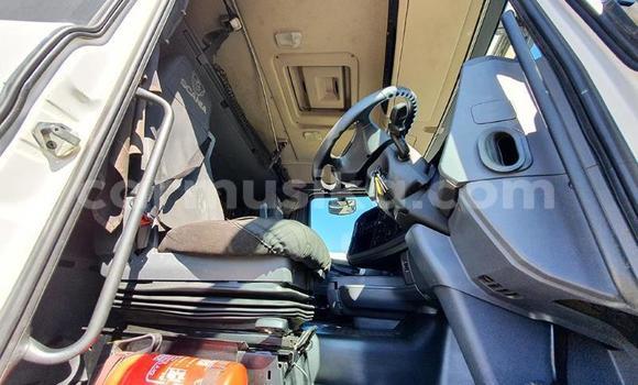 Acheter Occasion Utilitaire Scania R420 Blanc à Beitbridge, Matabeleland South Acheter Occasion Utilitaire Scania R420 Blanc à Beitbridge, Matabeleland South