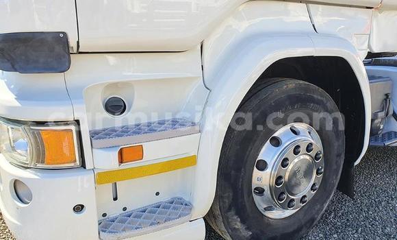 Acheter Occasion Utilitaire Scania R420 Blanc à Beitbridge, Matabeleland South Acheter Occasion Utilitaire Scania R420 Blanc à Beitbridge, Matabeleland South