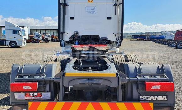 Acheter Occasion Utilitaire Scania R420 Blanc à Beitbridge, Matabeleland South Acheter Occasion Utilitaire Scania R420 Blanc à Beitbridge, Matabeleland South