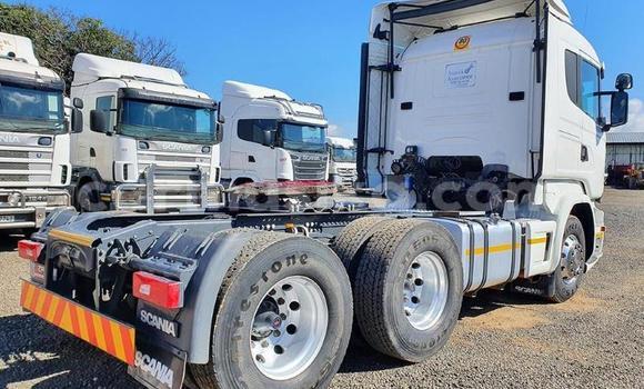 Acheter Occasion Utilitaire Scania R420 Blanc à Beitbridge, Matabeleland South Acheter Occasion Utilitaire Scania R420 Blanc à Beitbridge, Matabeleland South