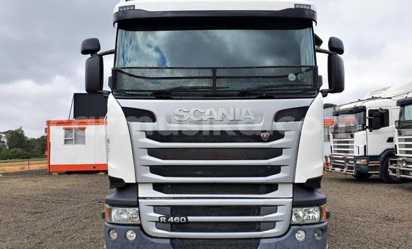 Acheter Occasion Utilitaire Scania R420 Blanc à Beitbridge, Matabeleland South Acheter Occasion Utilitaire Scania R420 Blanc à Beitbridge, Matabeleland South