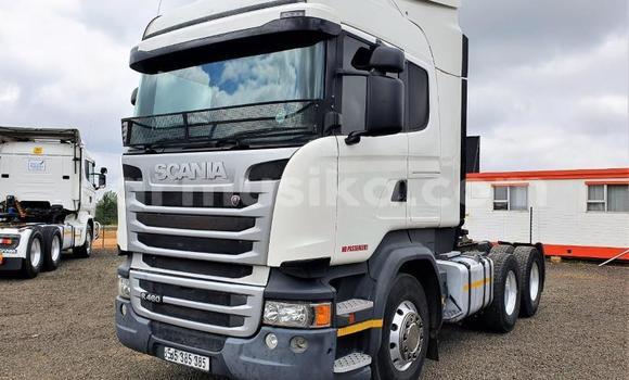 Acheter Occasion Utilitaire Scania R420 Blanc à Beitbridge, Matabeleland South Acheter Occasion Utilitaire Scania R420 Blanc à Beitbridge, Matabeleland South