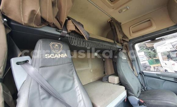 Acheter Occasion Utilitaire Scania R420 Blanc à Beitbridge, Matabeleland South Acheter Occasion Utilitaire Scania R420 Blanc à Beitbridge, Matabeleland South