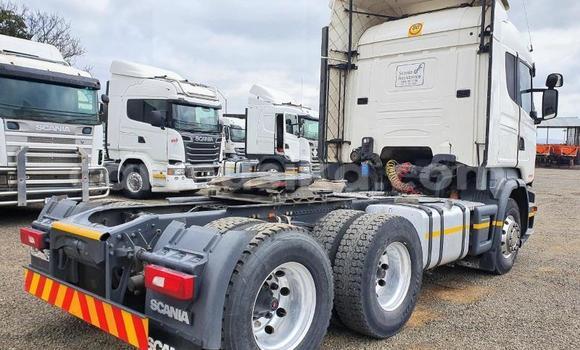 Acheter Occasion Utilitaire Scania R420 Blanc à Beitbridge, Matabeleland South Acheter Occasion Utilitaire Scania R420 Blanc à Beitbridge, Matabeleland South