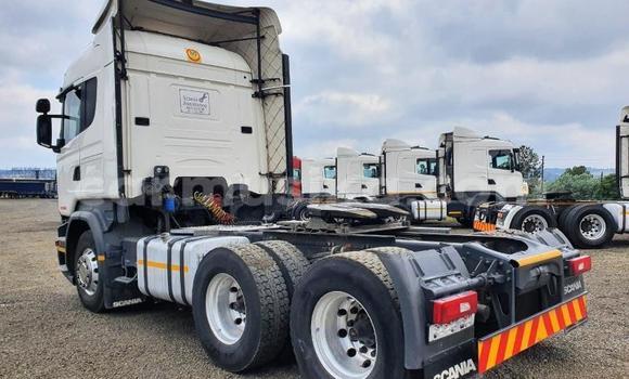 Acheter Occasion Utilitaire Scania R420 Blanc à Beitbridge, Matabeleland South Acheter Occasion Utilitaire Scania R420 Blanc à Beitbridge, Matabeleland South