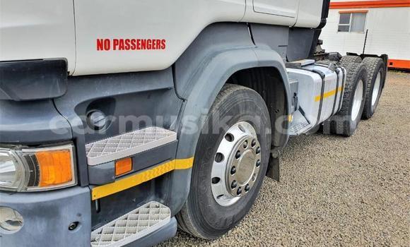Acheter Occasion Utilitaire Scania R420 Blanc à Beitbridge, Matabeleland South Acheter Occasion Utilitaire Scania R420 Blanc à Beitbridge, Matabeleland South