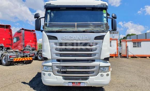 Acheter Occasion Utilitaire Scania R420 Blanc à Beitbridge, Matabeleland South Acheter Occasion Utilitaire Scania R420 Blanc à Beitbridge, Matabeleland South